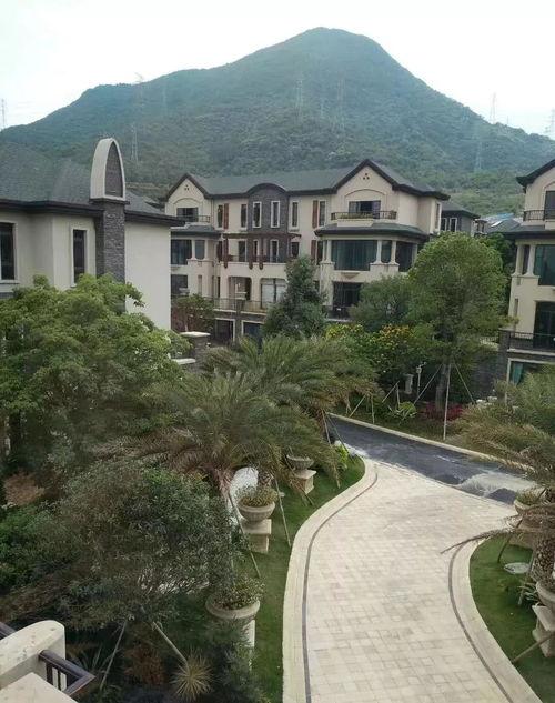 小鲁班最新爆料视频网页,揭秘视频网页背后的精彩内容  第3张